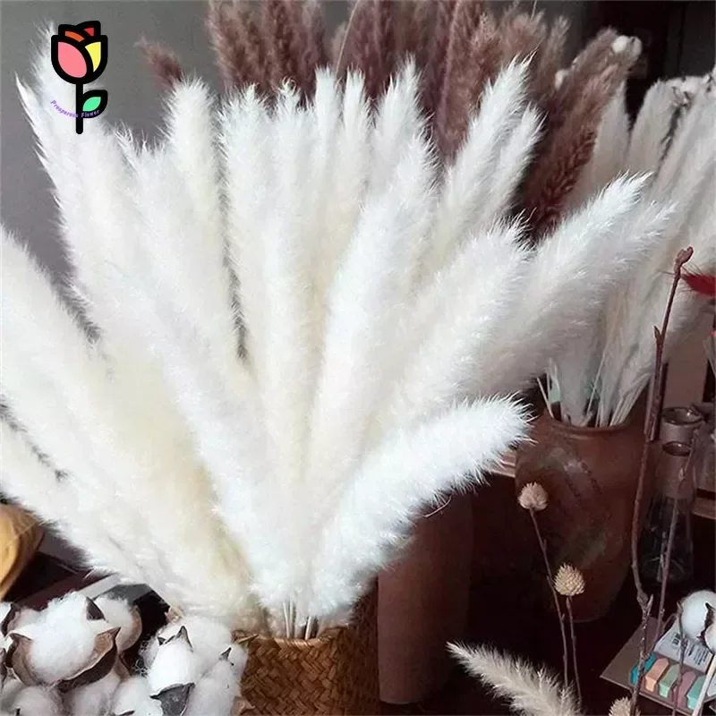 15Pcs Fluffy Pampas Dried Flower Bouquet Wedding Christmas Decor Natural Phragmites White Reed Pampa Boho Nordic Home Decoration